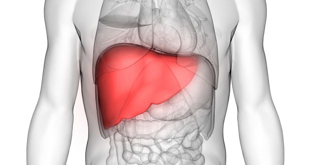 image - Things to Avoid for your Liver