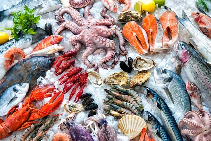 Seafood - The debate regarding seafood