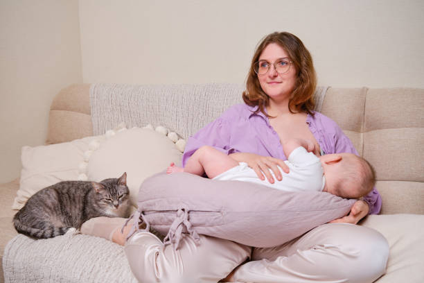 image 3 - Ultimate Guide to Pregnancy and Nursing Pillow